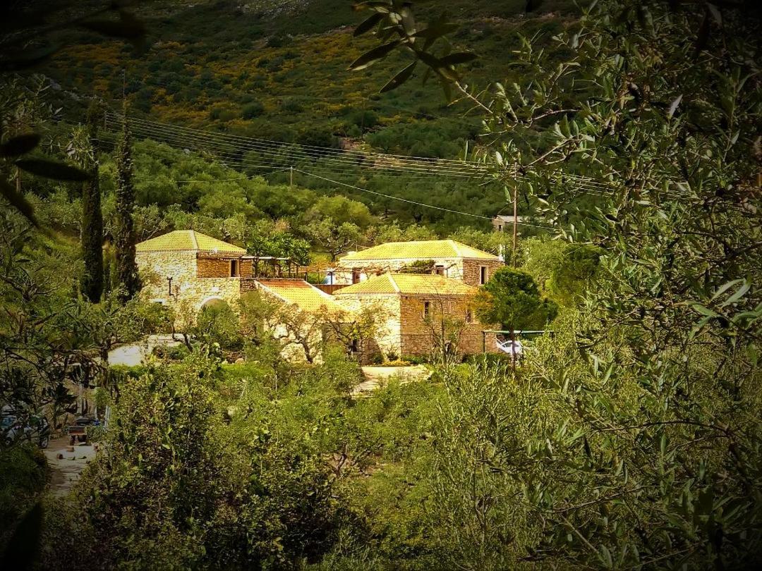 Tsivouli Accommodation Lithakia  Bagian luar foto